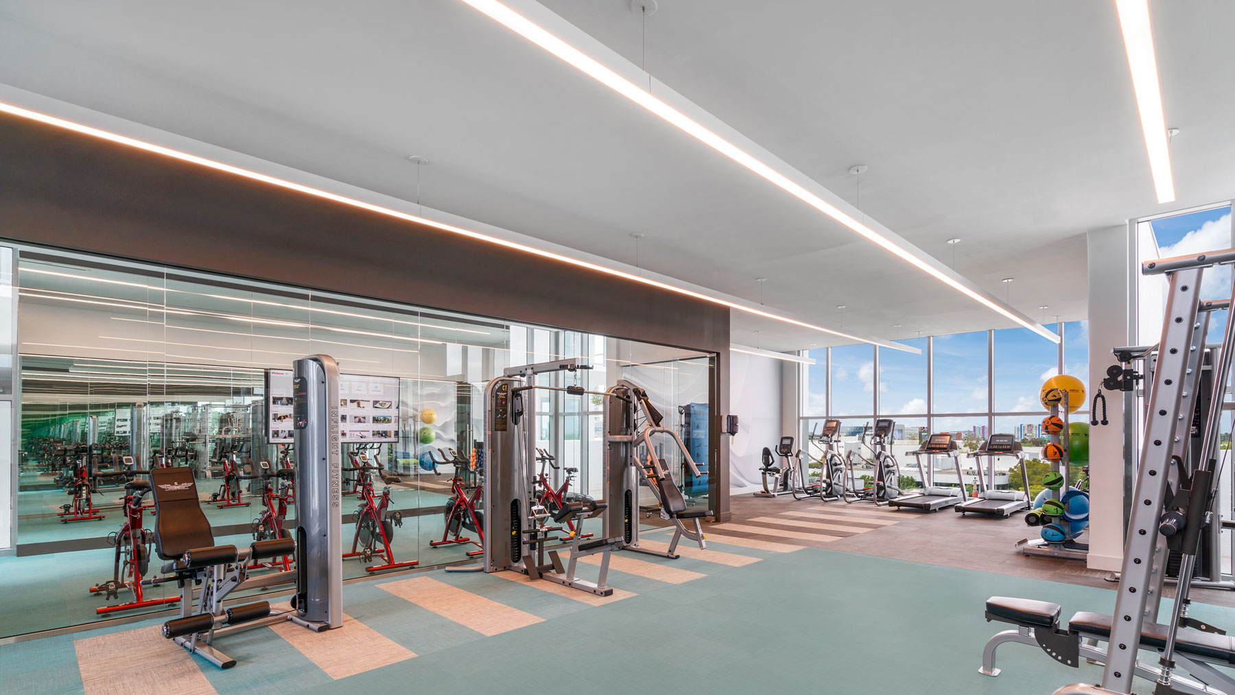 Gym Rendering Gym Rendering